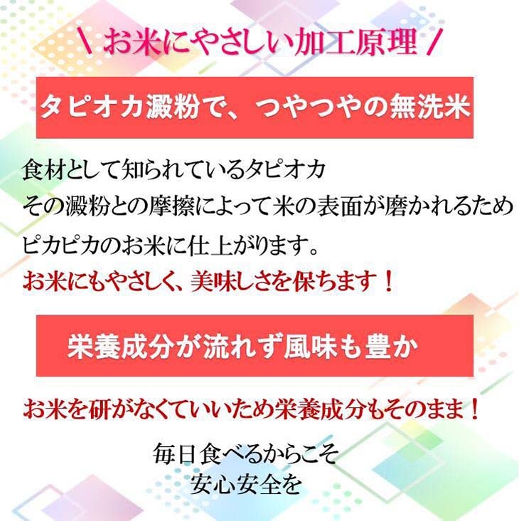《送料無料》令和6年産／熊本県産「阿蘇米」無洗米10kg（5kg×2袋）