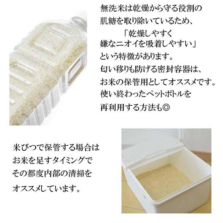 《送料無料》令和6年産／熊本県産「阿蘇米」無洗米10kg（5kg×2袋）