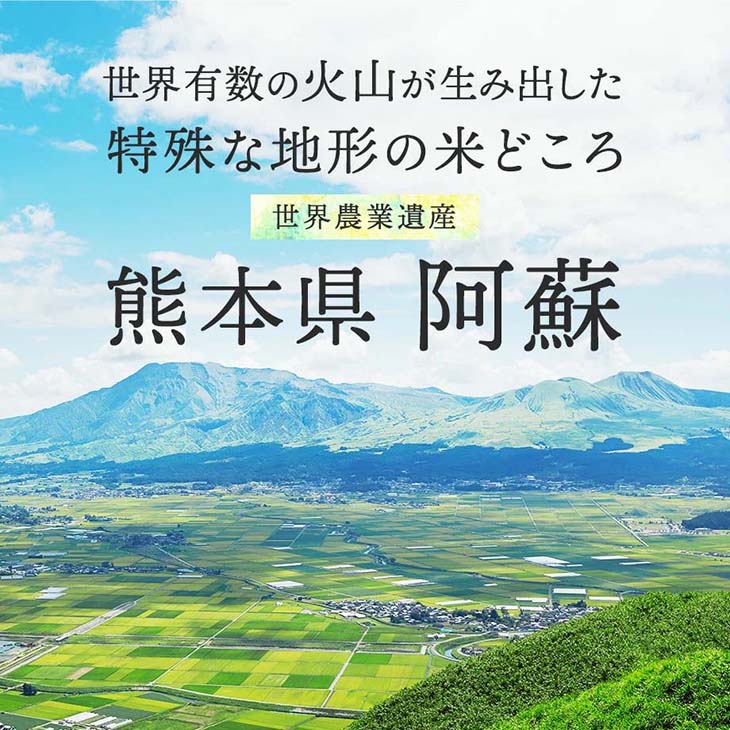 《送料無料》令和6年産／熊本県産「阿蘇米」無洗米10kg（5kg×2袋）