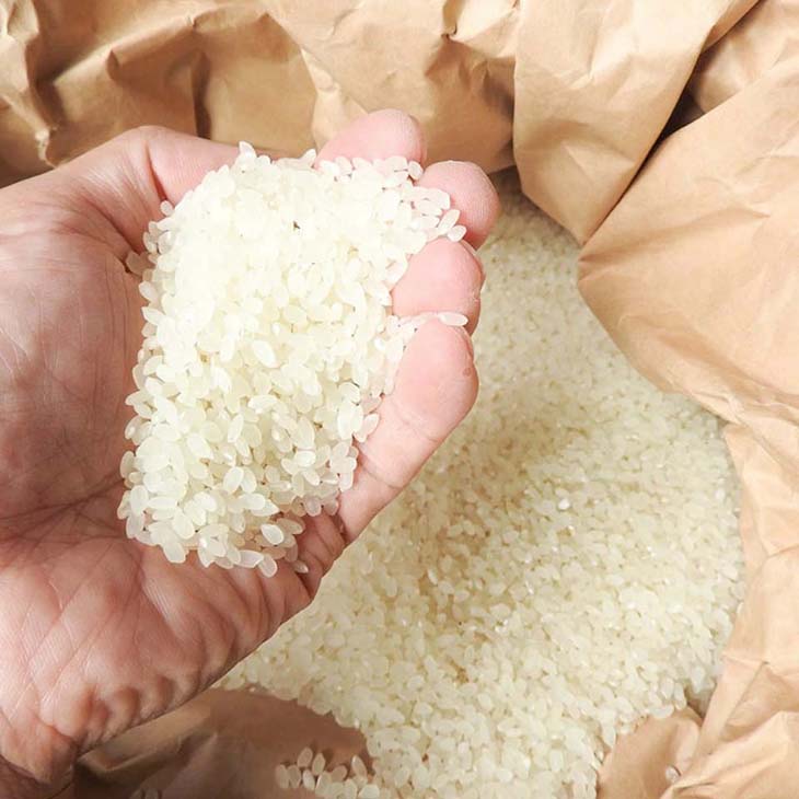 《送料無料》令和6年産／熊本県産「阿蘇米」無洗米10kg（5kg×2袋）