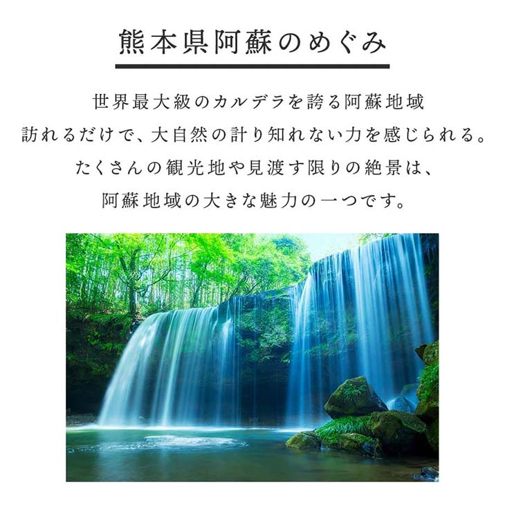 《送料無料》令和6年産／熊本県産「阿蘇米」20kg（5kg×4袋）