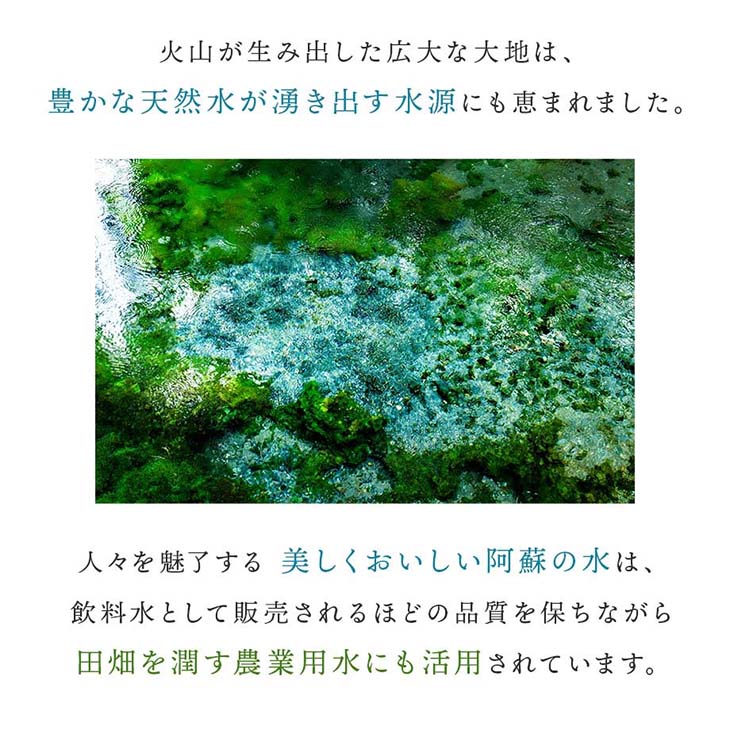 《送料無料》令和6年産／熊本県産「阿蘇米」20kg（5kg×4袋）