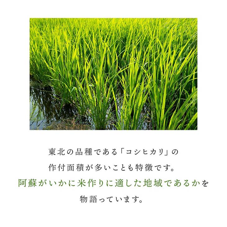 《送料無料》令和6年産／熊本県産「阿蘇米」20kg（5kg×4袋）