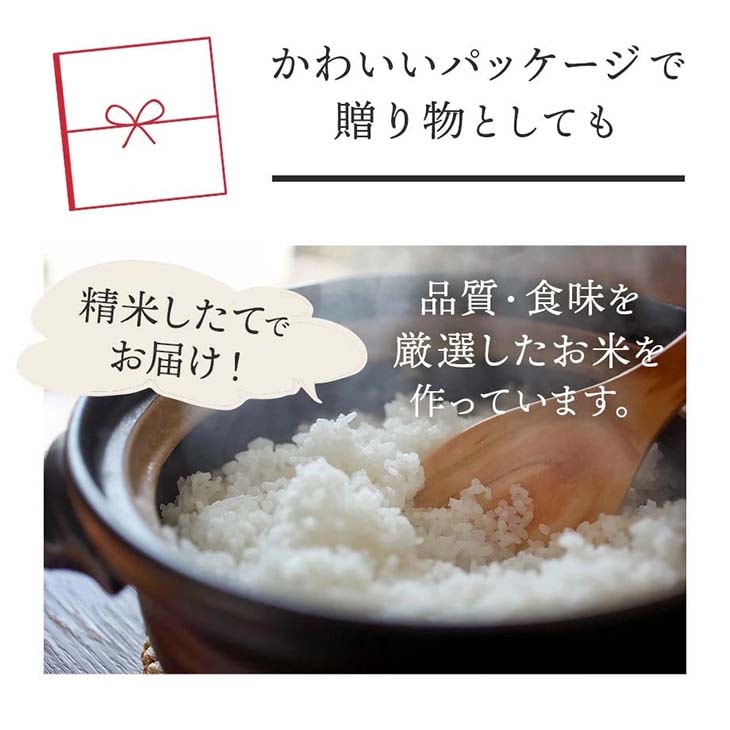 送料無料》令和6年産／熊本県産「ひのひかり」10kg（5kg×2袋）｜酒見