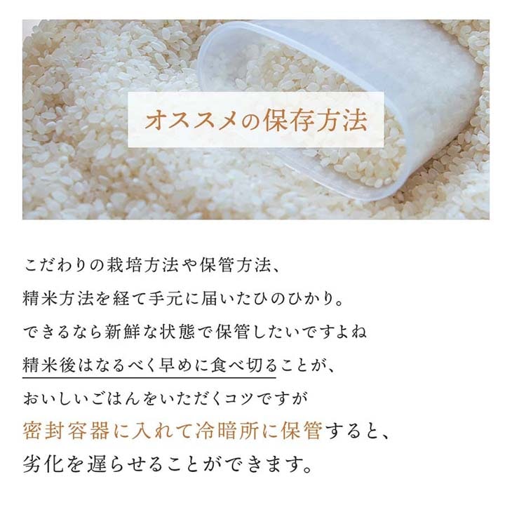 《送料無料》令和6年産／熊本県産「ひのひかり」10kg（5kg×2袋）