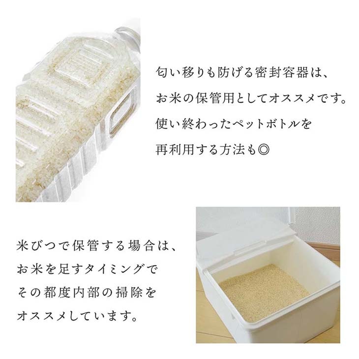 送料無料》令和6年産／熊本県産「ひのひかり」10kg（5kg×2袋）｜酒見