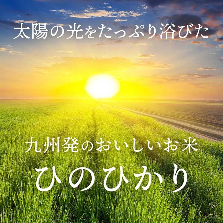 《送料無料》令和6年産／熊本県産「ひのひかり」10kg（5kg×2袋）