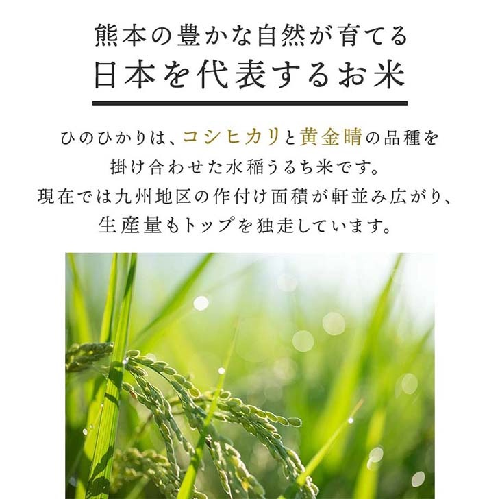 送料無料》令和6年産／熊本県産「ひのひかり」10kg（5kg×2袋）｜酒見