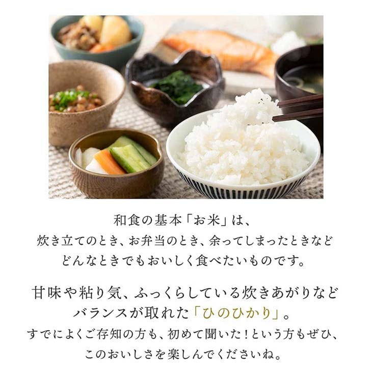 送料無料》令和6年産／熊本県産「ひのひかり」10kg（5kg×2袋）｜酒見