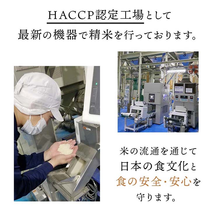 《送料無料》令和6年産／福岡県産「夢つくし」10kg（5kg×2袋）