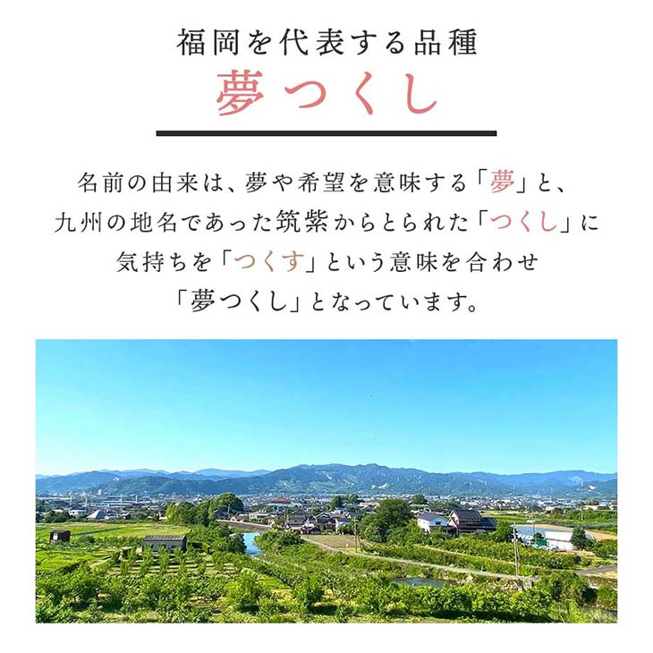 《送料無料》福岡県産「夢つくし」 ご飯パック160g×24食セット