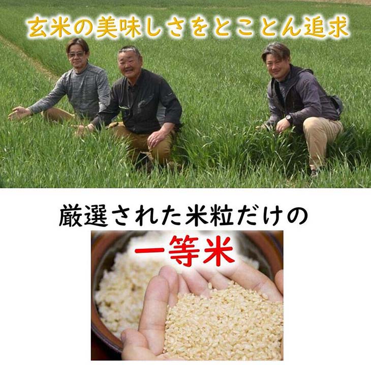 《送料無料》福岡県産「夢つくし」 ご飯パック160g×24食セット