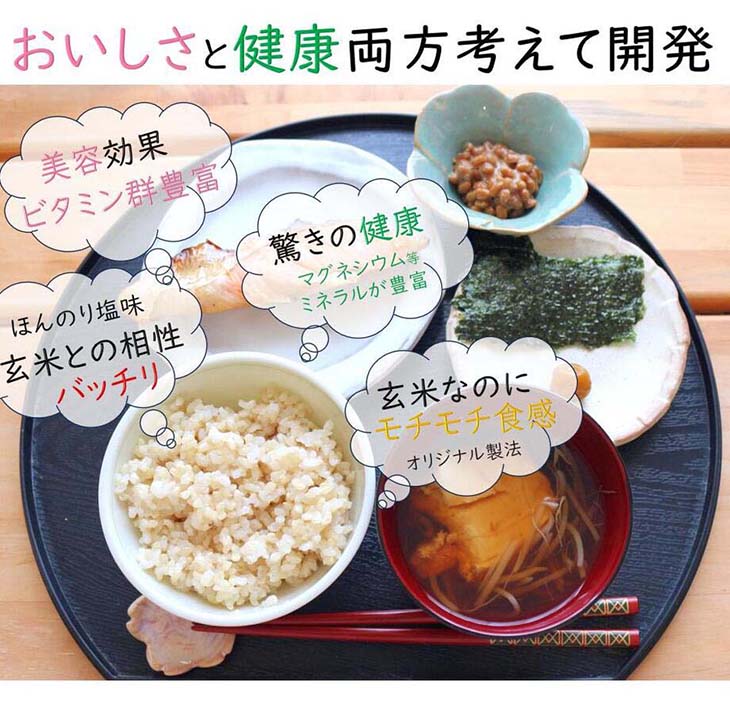《送料無料》福岡県産「夢つくし」 ご飯パック160g×24食セット