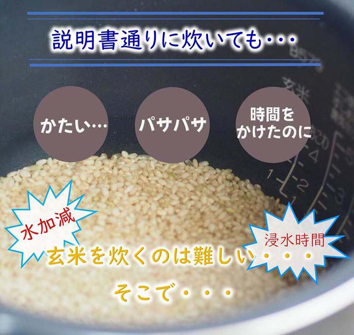 送料無料》福岡県産「夢つくし」 ご飯パック160g×24食セット｜酒