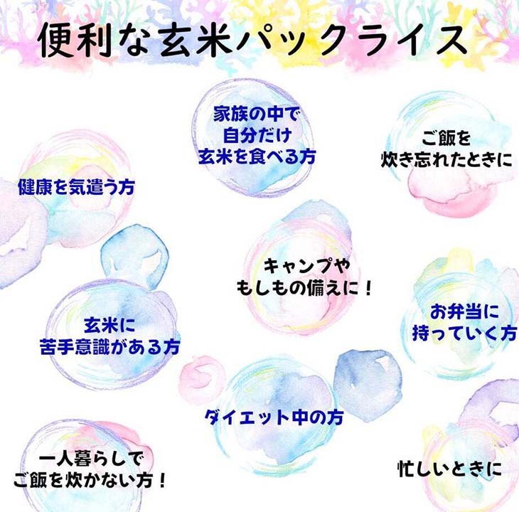 《送料無料》福岡県産「夢つくし」 ご飯パック160g×24食セット