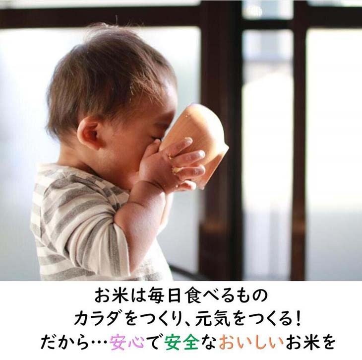 《送料無料》テーブルマーク パックご飯 150g×32食セット