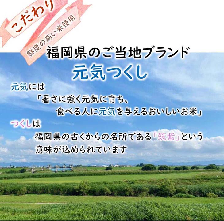 《送料無料》テーブルマーク パックご飯 150g×32食セット