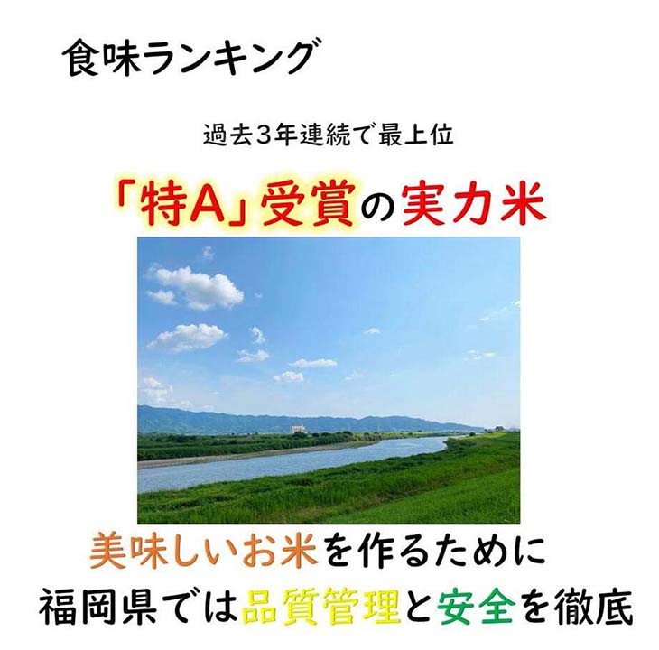 《送料無料》テーブルマーク パックご飯 150g×32食セット