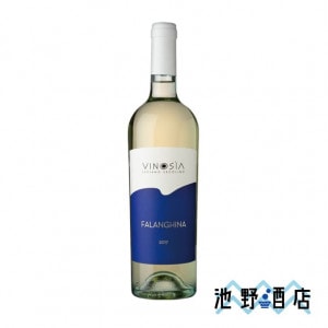 �����Υ������ե���󥮡���