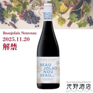 ڲȯͽۥ󡦥ɥͥ ܥ졼̡2025