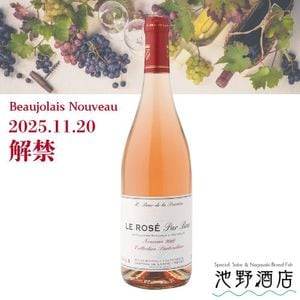 ڲȯͽۥХåɡڥ 롡ܥ졼̡   2025