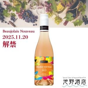 ڲȯͽۥ른塦ǥ塦֥å  ̡ 2025