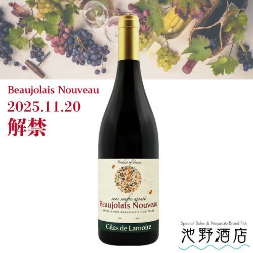 ڲȯͽۥ롦ɡ⥢ ܥ졼̡ 2025