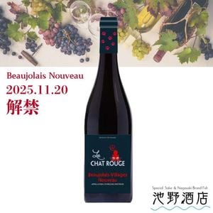 ڲȯͽۥ롦㡦ܥ졼顼塦̡ 2025