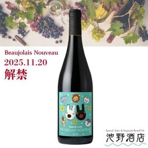 ڲȯͽۡꥵȥѡ ܥ졼̡  2025