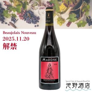 ڲȯͽۥɥ᡼̡ɡ顦ޥɥ ܥ졼顼̡2025