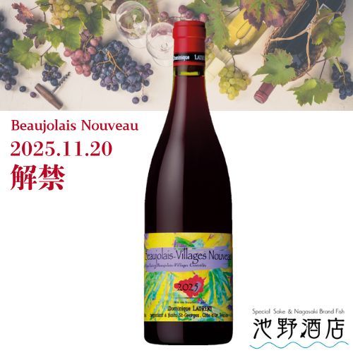 ڲȯͽۡɥߥ˥ ܥ졼顼塦̡2025