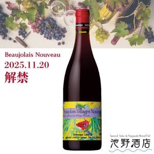 ڲȯͽۡɥߥ˥ ܥ졼顼塦̡2025