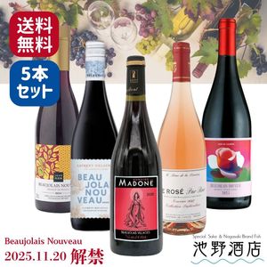 【解禁日前日発送予定】 ボジョレー・ヌーヴォー2025 ヴィラージュ1種を含む赤ワイン5種 飲み比べセット【送料無料】(※一部地域加算あり)
