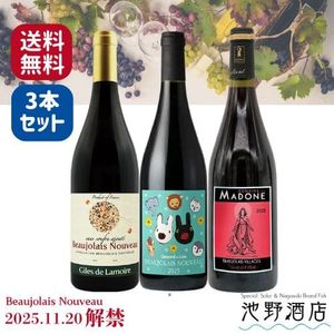 �ܥ���졼���̡�������2025  �����顼����1���ޤ��֥磻��3�� ������٥��åȡ�����̵����(�������ϰ�û�����)