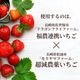 ������̵�������ż򤤤��������졡500g ������ۥե롼�Ĵż� ����� ���ե� ���ż� ��