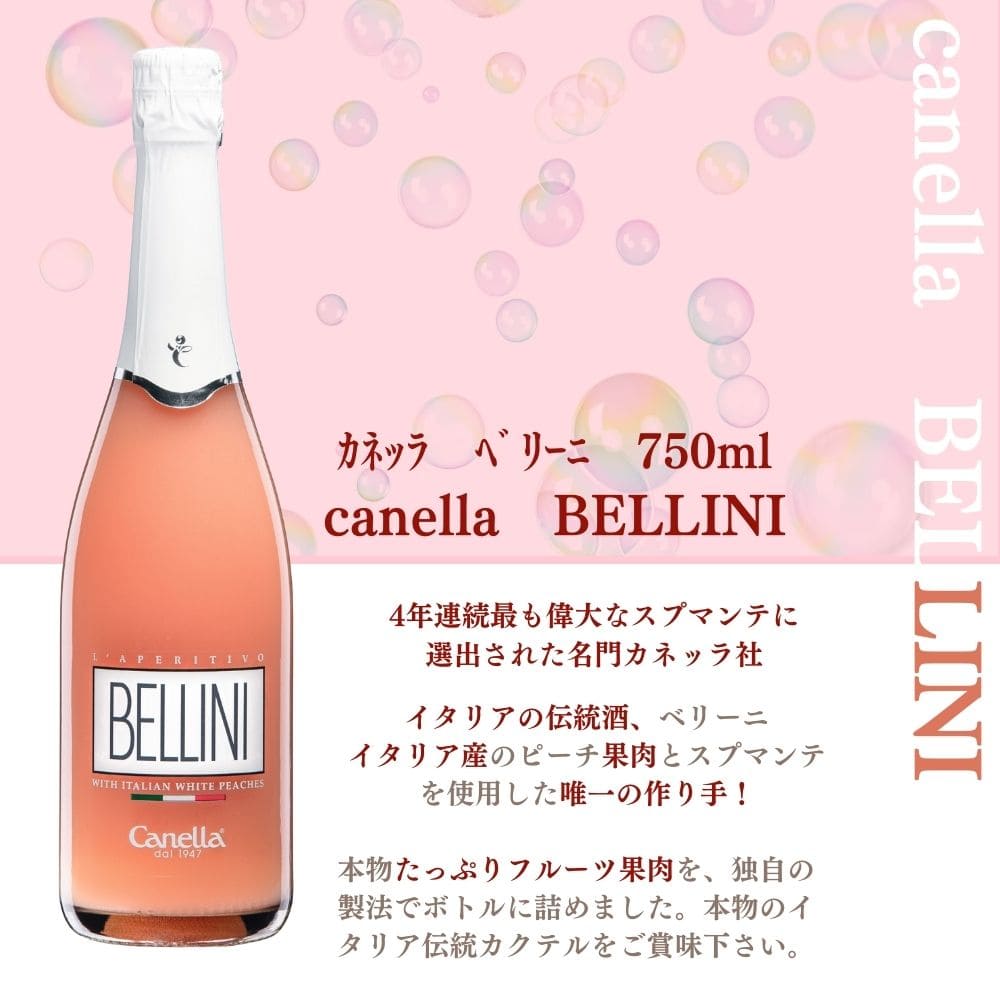 新品 SARA BELLINI サラベリーニ プレート 2枚セット イタリア製