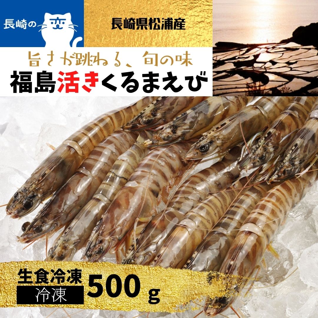 長崎県松浦産「福島くるまえび 生食冷凍 500g」