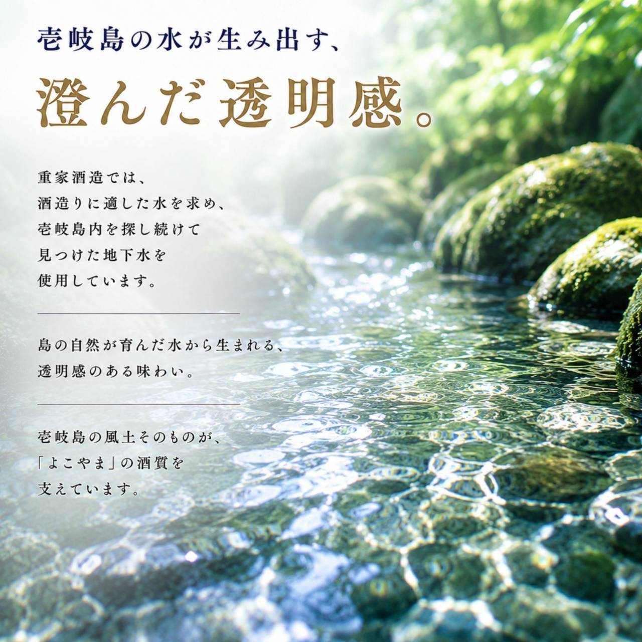 よこやま GOLD 純米大吟醸直汲み無濾過生原酒 720ml│よこやま 日本酒