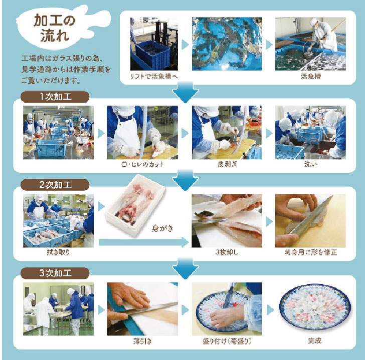 ������̵���� ��2�����ˤȤ�դ��鎾���ġ��Ȥ�դ��ܿ����ܰ��Ĺ�긩������ (��դ�)����ȯ��