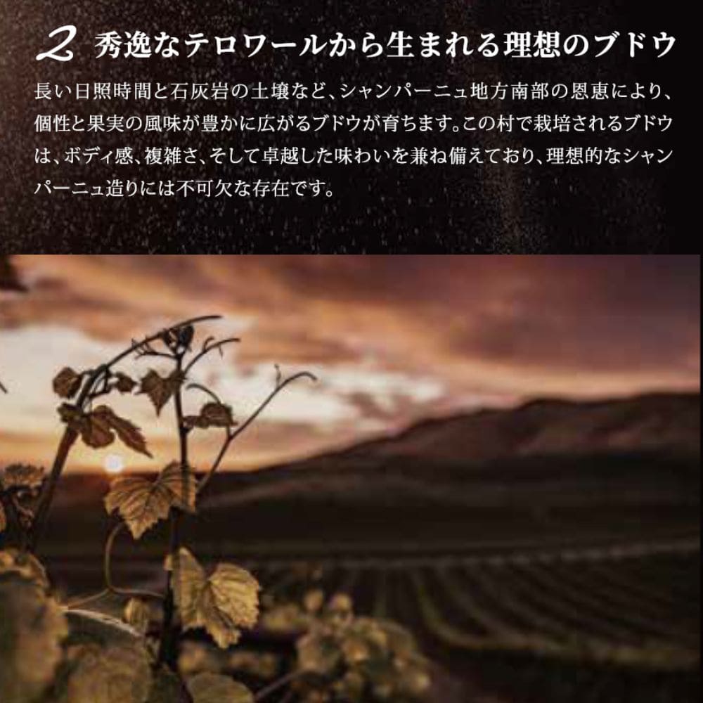 �����ɥ� �֥��å� �ۥ磻�ȥ�٥� 750ml �ɸ�