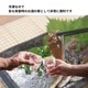 ���򲰤���Τ��ޤ��� 80g