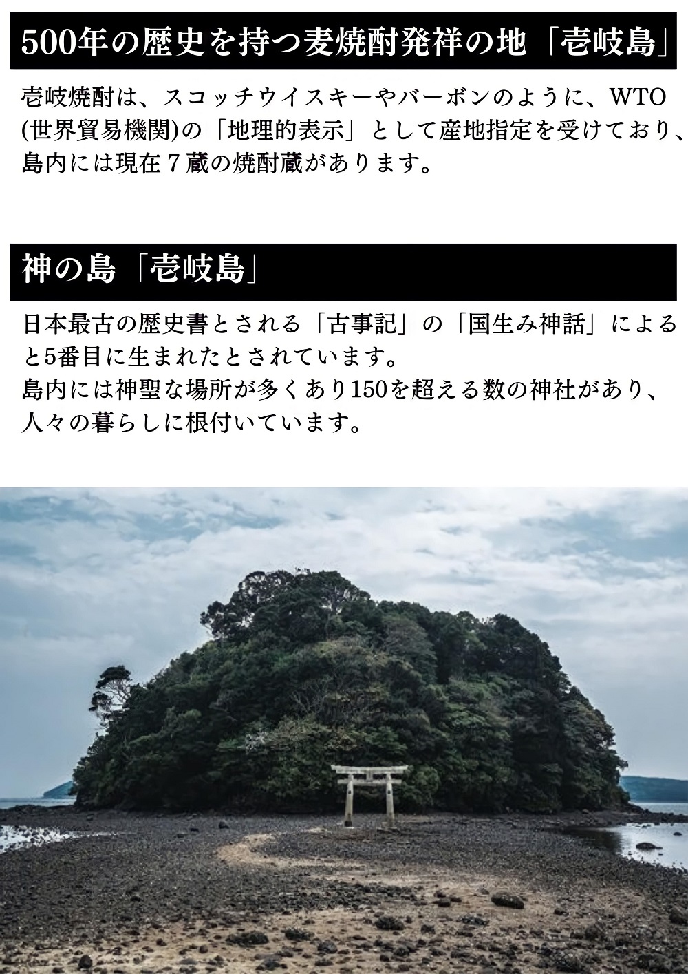 横山五十 純米大吟醸 黒ラベル 1.8L │よこやま 日本酒 の通販は 池野酒店