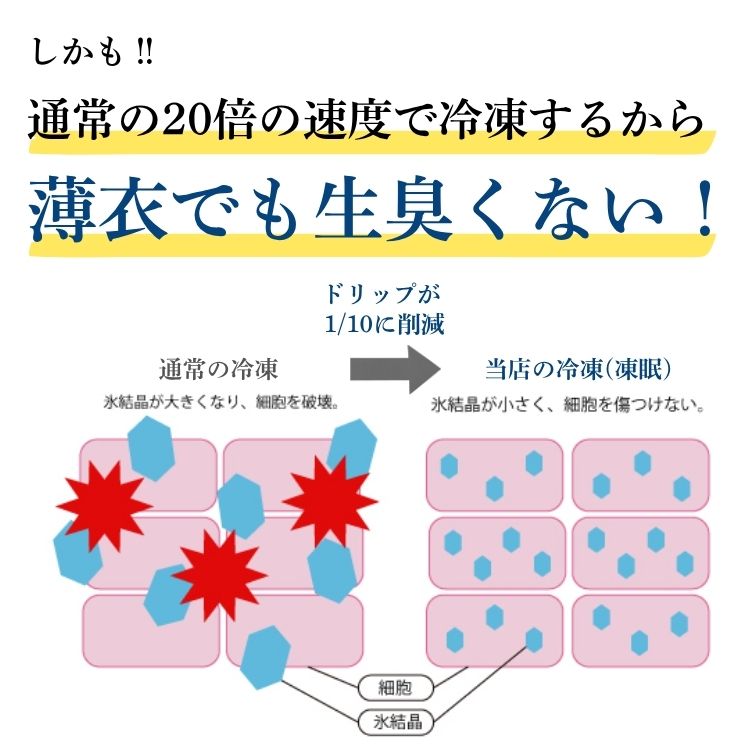 ��4���2�ѥå���Ĺ�긩���������������ގ̎׎� ���������ե饤(���դ�) �����ե饤������ �� ���ե� THE TIME �������ġ�
