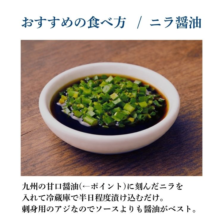 ��4���2�ѥå���Ĺ�긩���������������ގ̎׎� ���������ե饤(���դ�) �����ե饤������ �� ���ե� THE TIME �������ġ�