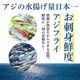 ��4���2�ѥå���Ĺ�긩���������������ގ̎׎� ���������ե饤(���դ�) �����ե饤������ �� ���ե� THE TIME �������ġ�