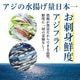 ��4���3�ѥå���Ĺ�긩���������������ގ̎׎� ���������ե饤(���դ�) �����ե饤������ �� ���ե� THE TIME �������ġ�