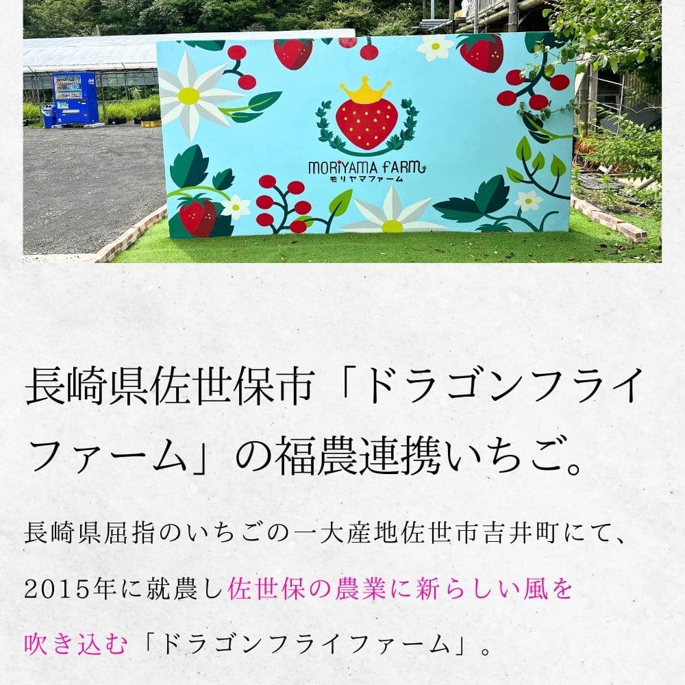 ����̵�������ż򤤤�������������󤪡���2�ܥ��åȡ�����ȯ���ۥե롼�Ĵż� BK 