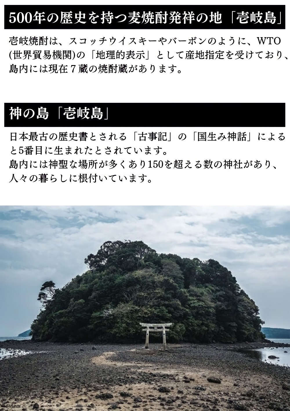 �褳��� SILVER1814 ���ƶ�� ���� 1.8L