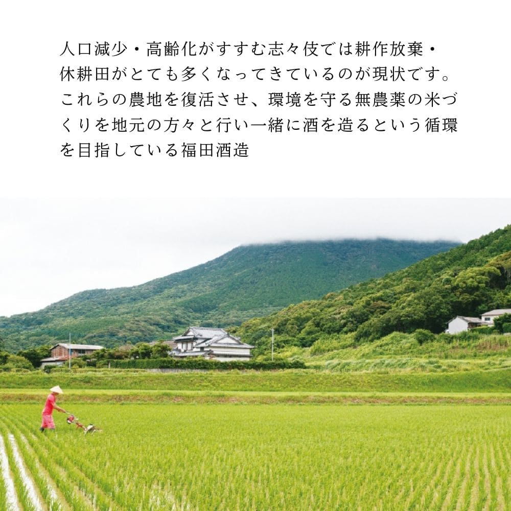 ��2025ǯ6�������١�ʡ�� �쥤�ۥ������� 720ml 