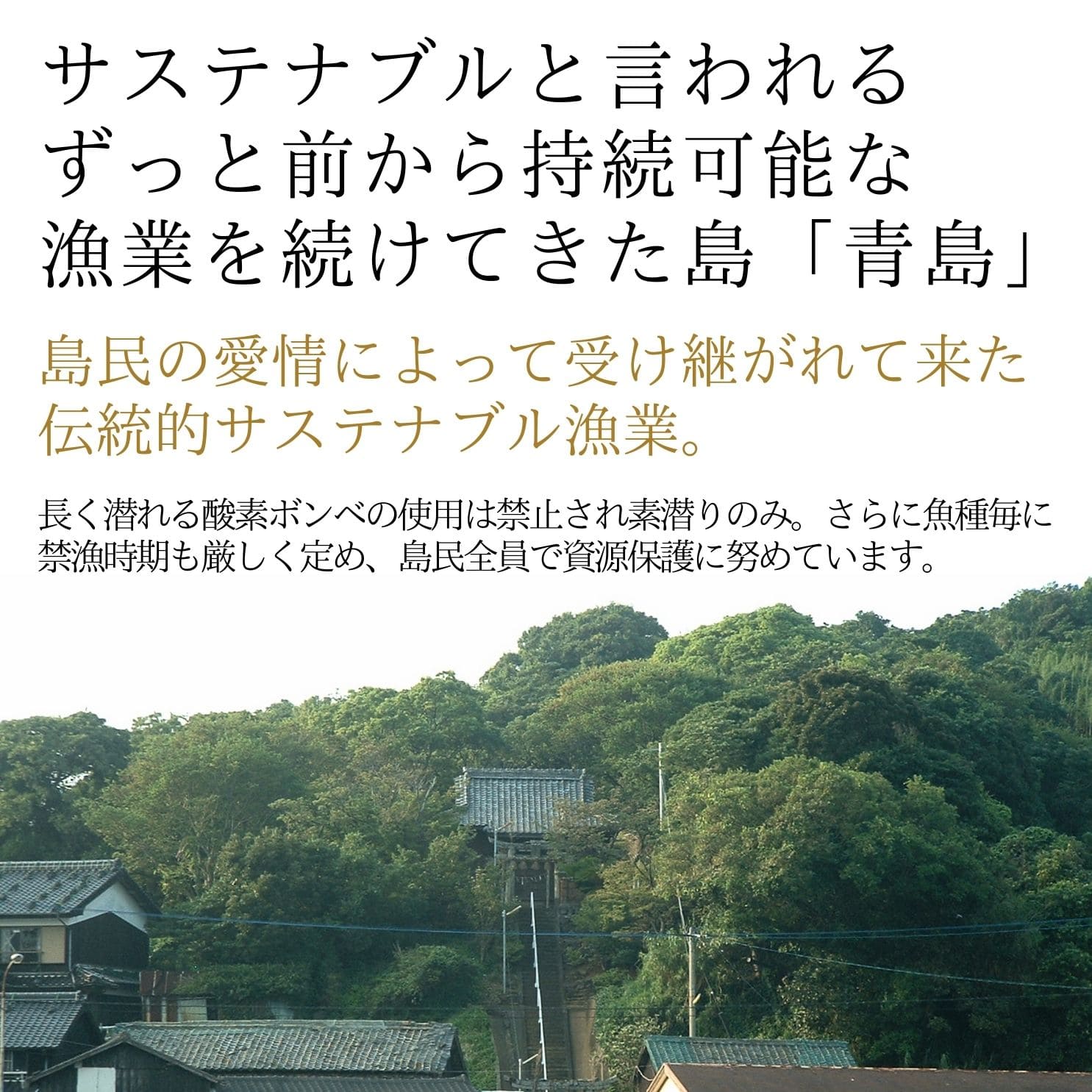 マグロ 冷凍赤身 200g 鷹ら島 長崎県松浦産 マグロ 冷凍赤身 200g 鷹ら島 長崎県松浦産